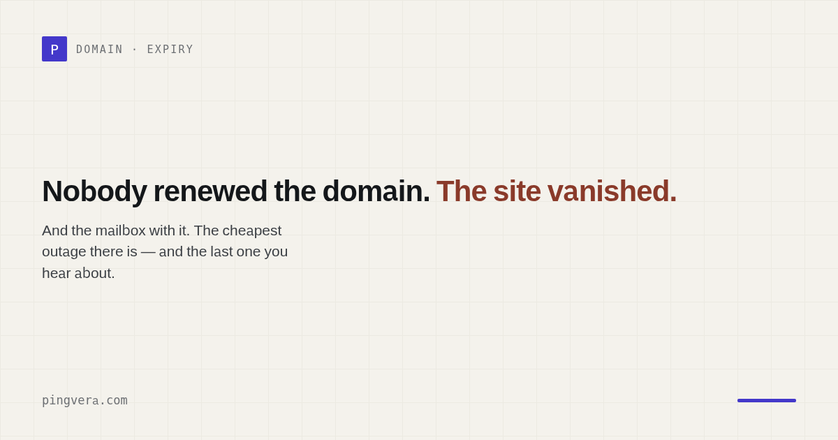 The domain wasn't renewed — and the site vanished: how to watch the registration date